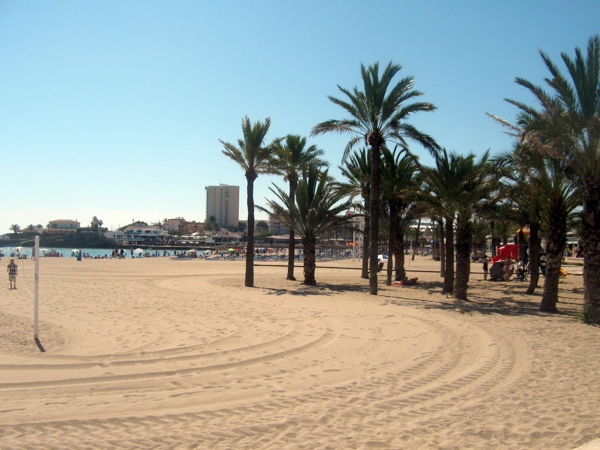Zandstrand Arenal in Jávea met palmbomen